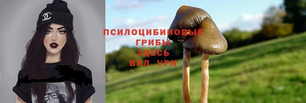 соль курить ск Арсеньев