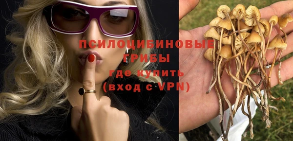 молекула духа Аркадак