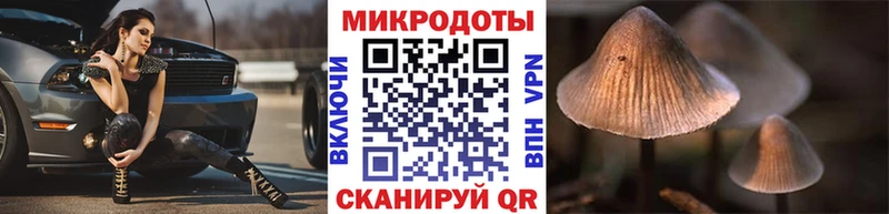 блэк спрут онион  Новодвинск  Галлюциногенные грибы Magic Shrooms  где купить  