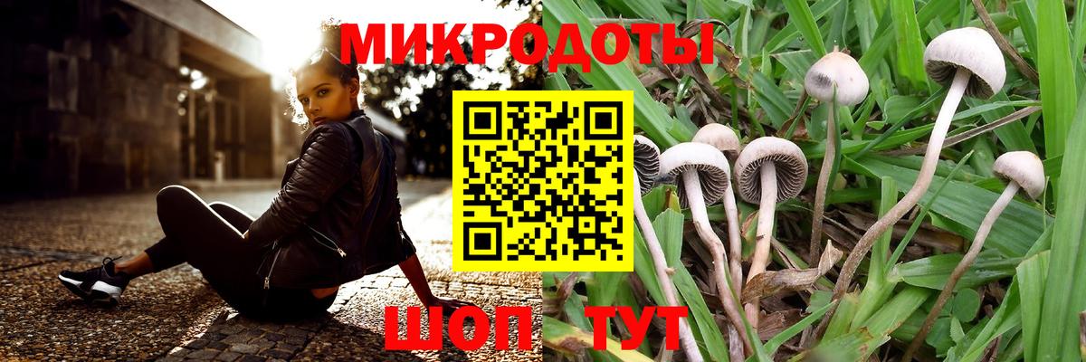 Новодвинск  Галлюциногенные грибы GOLDEN TEACHER  Вход с VPN 