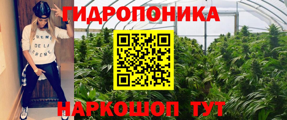 МЕФ кристаллы  Новодвинск  Гашиш  Канабис  ЭКСТАЗИ  Вход с VPN  Как найти закладки?  КОКАИН 